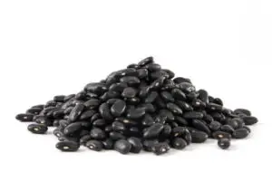 Poroto negro